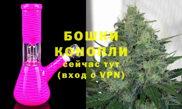 крисы Аркадак
