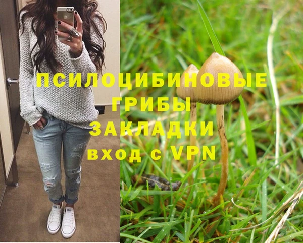 крисы Аркадак