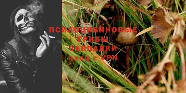 трава Арсеньев