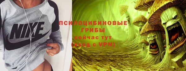 трава Арсеньев