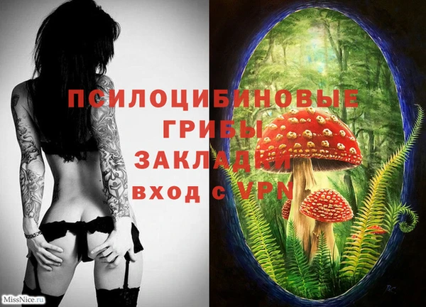 круглые Армянск