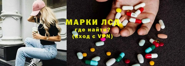 крисы Аркадак
