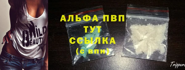 крисы Аркадак